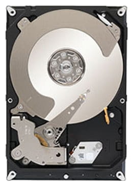 Seagate ST1000NC001