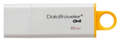 Kingston DataTraveler G4 8GB
