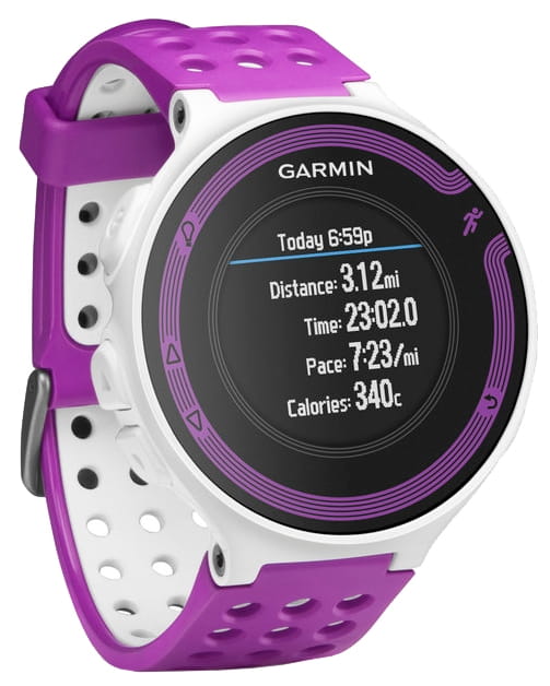 Garmin Forerunner 220