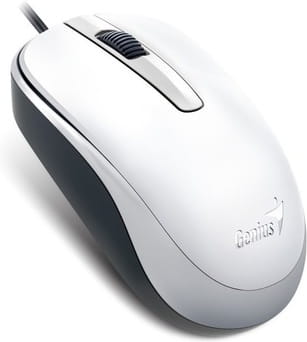Mouse Genius DX-120 / USB /
