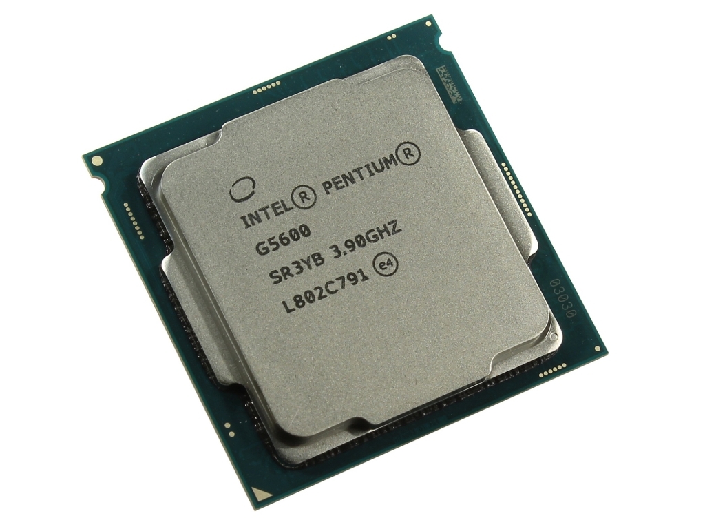 Intel Pentium G5600 /