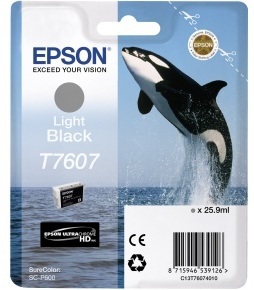 Epson T760 SC-P600 / Light Black