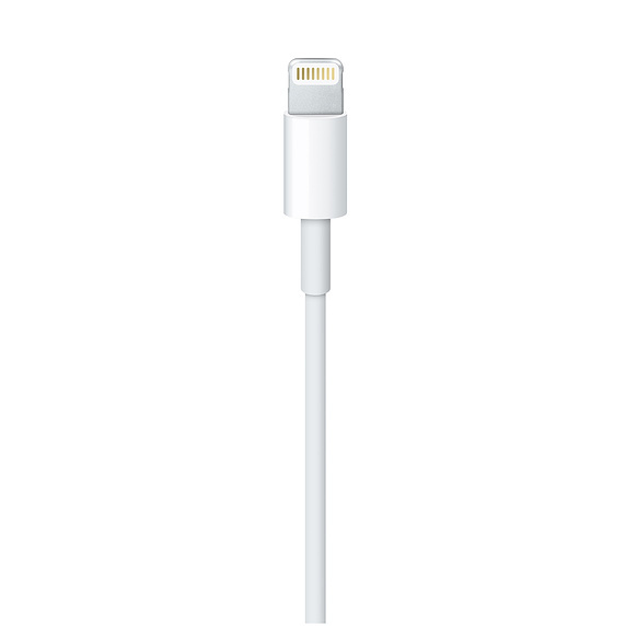 Apple A1480 / Lightning to USB White