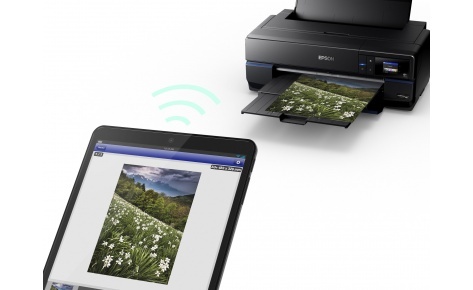 Epson SureColor SC-P800 / A2+ / Black
