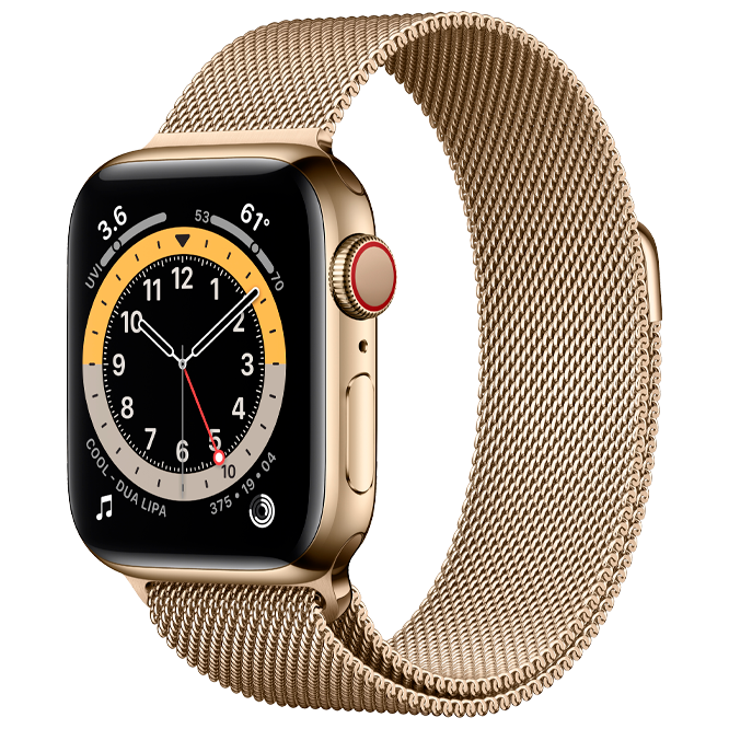 Apple Watch Series 6 GPS + Cellular 40mm Gold Stainless Steel Case with Gold Milanese Loop /