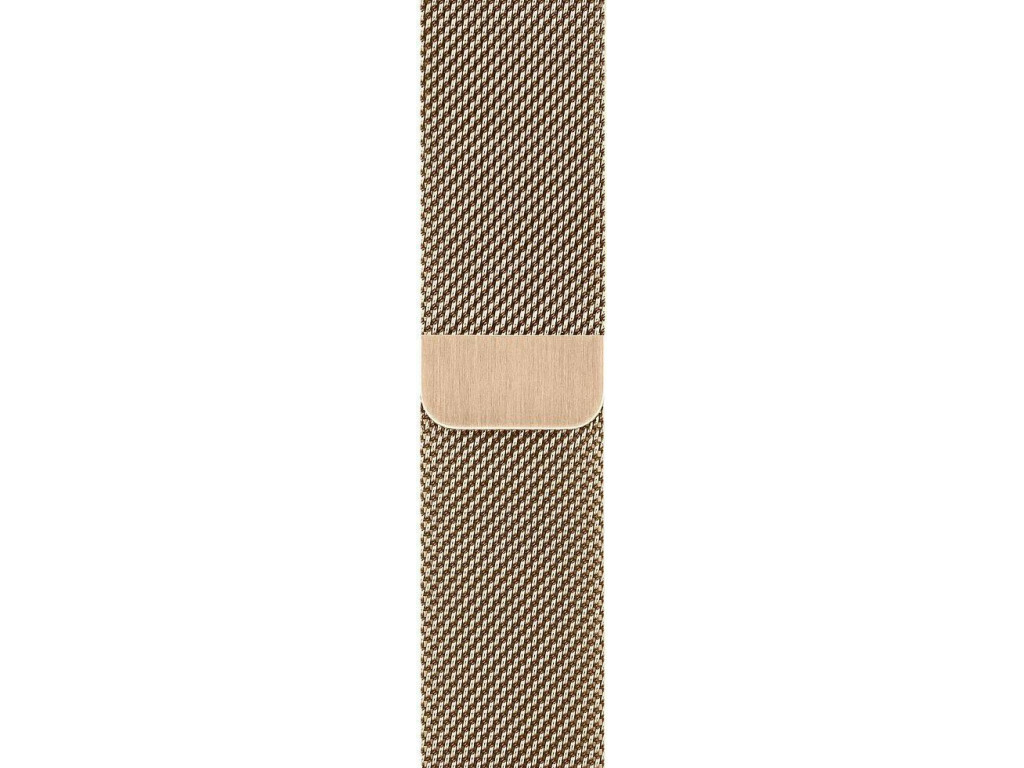 Apple Watch Series 6 GPS + Cellular 40mm Gold Stainless Steel Case with Gold Milanese Loop /