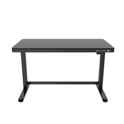 FlexiSpot Adjustable Desk ET118 /