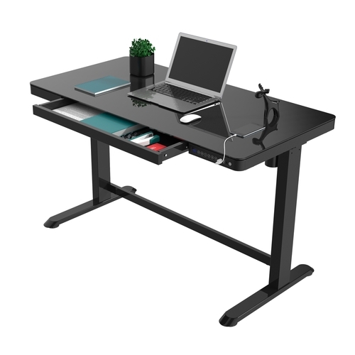 FlexiSpot Adjustable Desk ET118 /