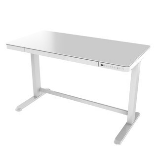 FlexiSpot Adjustable Desk ET119E /