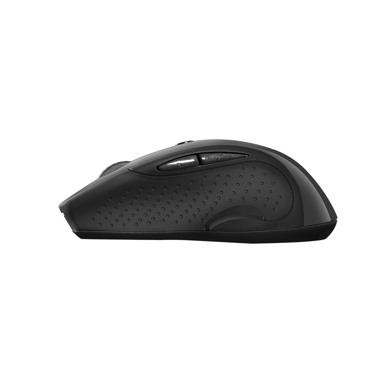 Canyon MW-01