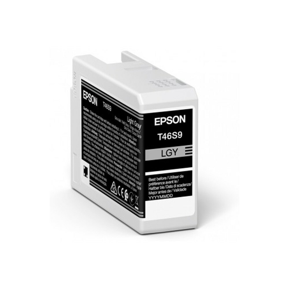 Epson C13T46S900 / UltraChrome PRO 10 Ink / Light Gray