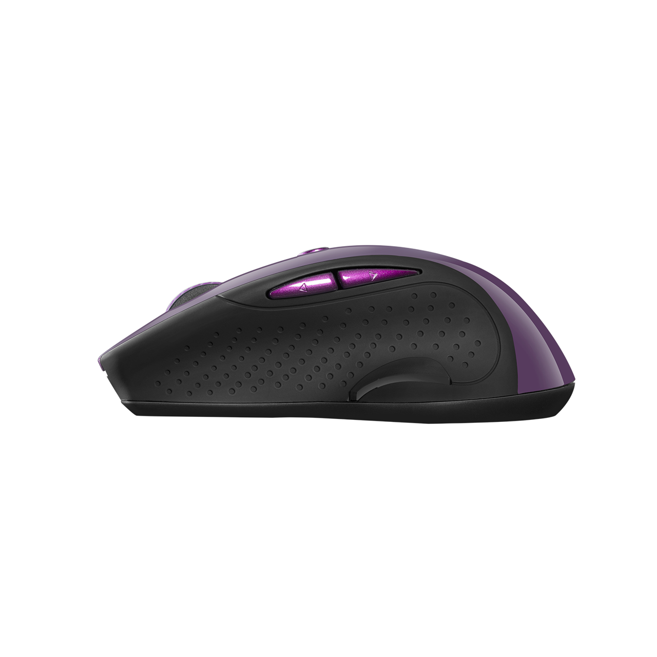 Canyon MW-01 Magenta