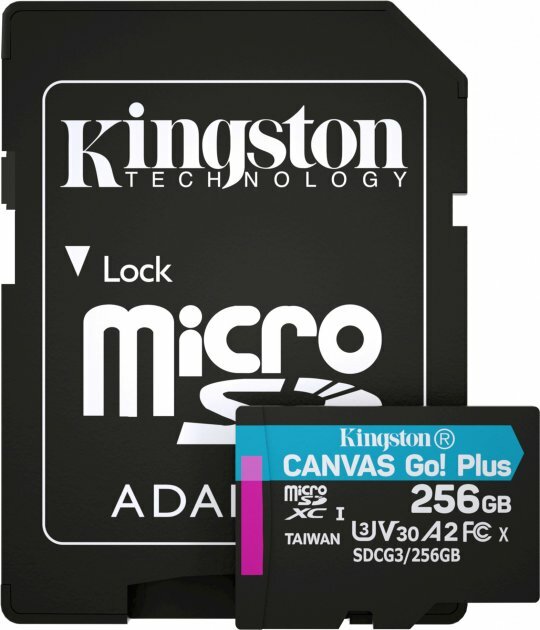 Kingston Canvas Cangas Go Plus SDCG3/256GB microSD 256GB