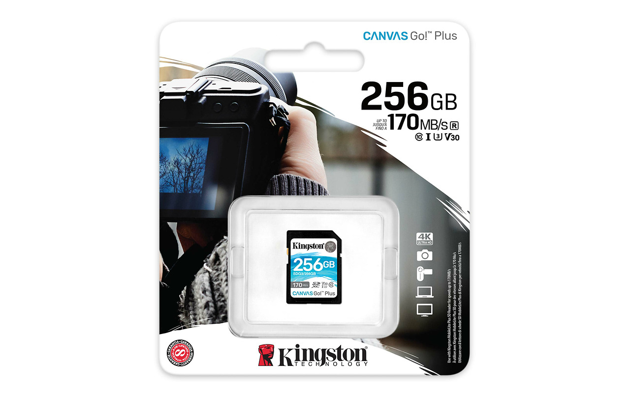 Kingston Canvas Go! Plus 256GB SD / SDG3/256GB