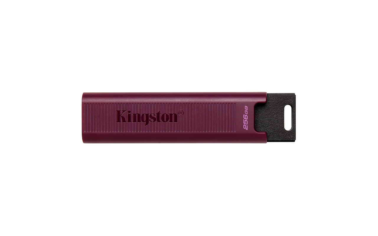 Kingston DataTraveler Max / DTMAXA/256GB