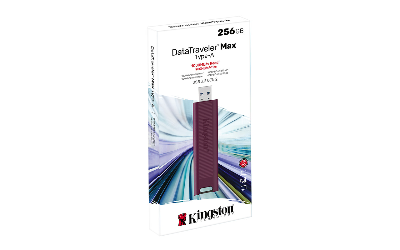 Kingston DataTraveler Max / DTMAXA/256GB