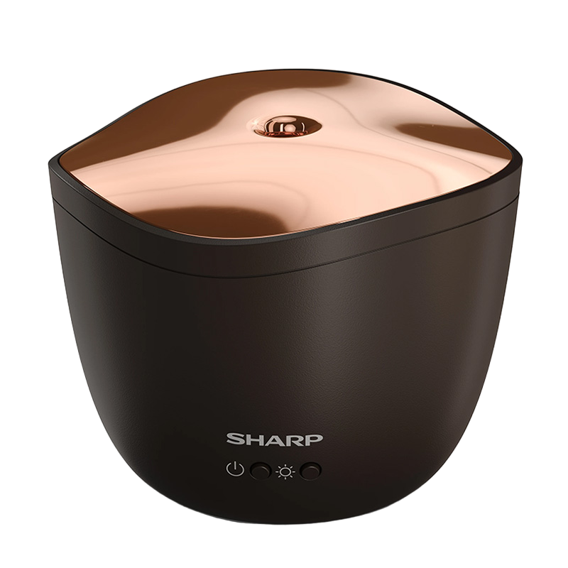 Sharp DF-A1USB01