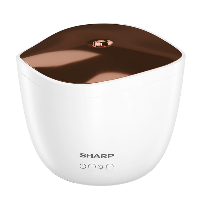 Sharp DF-A1EWS03