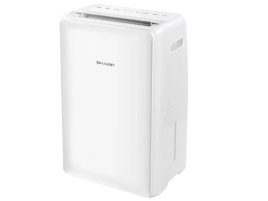 Sharp UD-P20E-WE01