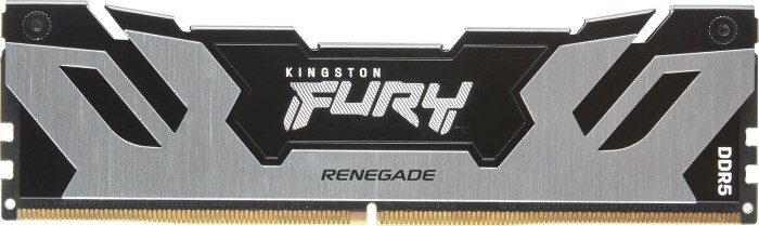 Kingston FURY Renegade Silver KF560C32RS-48