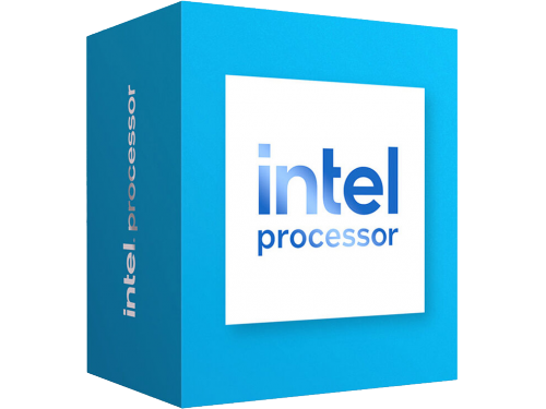 Intel Processor 300 / 46W UHD Graphics 710