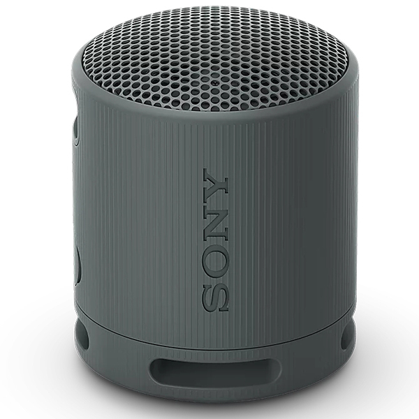 SONY SRS-XB100