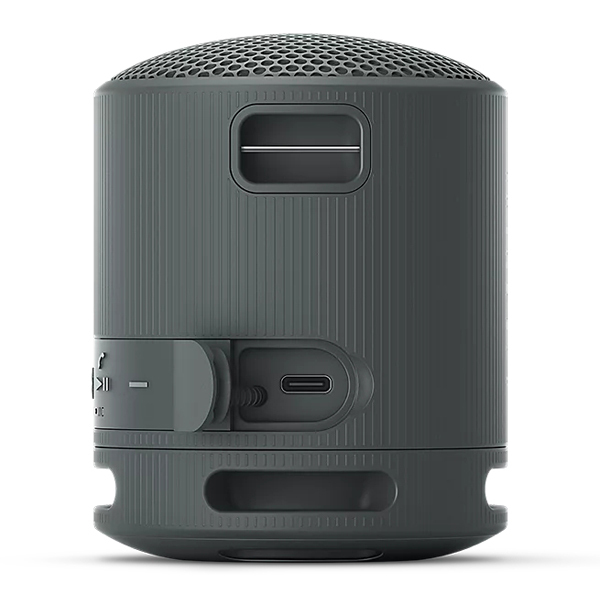 SONY SRS-XB100