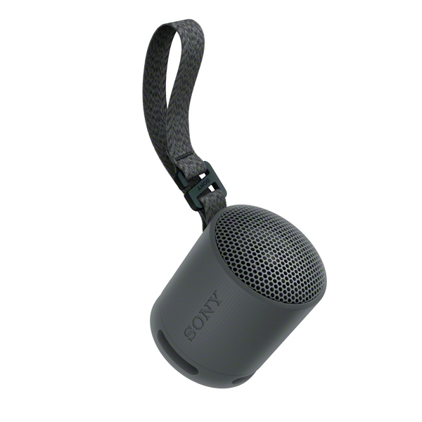 SONY SRS-XB100