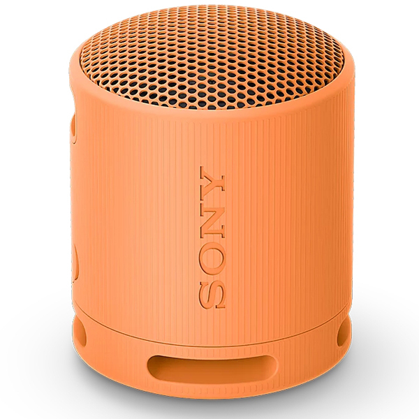 SONY SRS-XB100