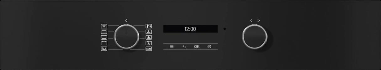 Miele H 2861 B OBSW