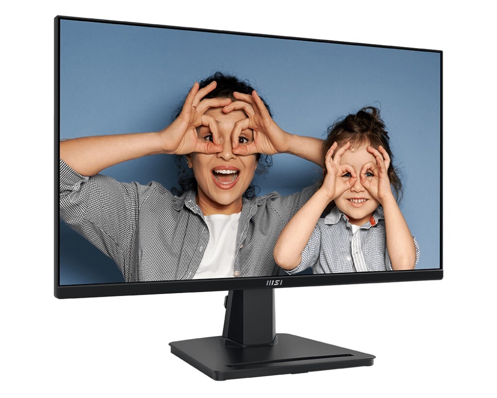 MSI PRO MP251 /24.5 IPS 100Hz