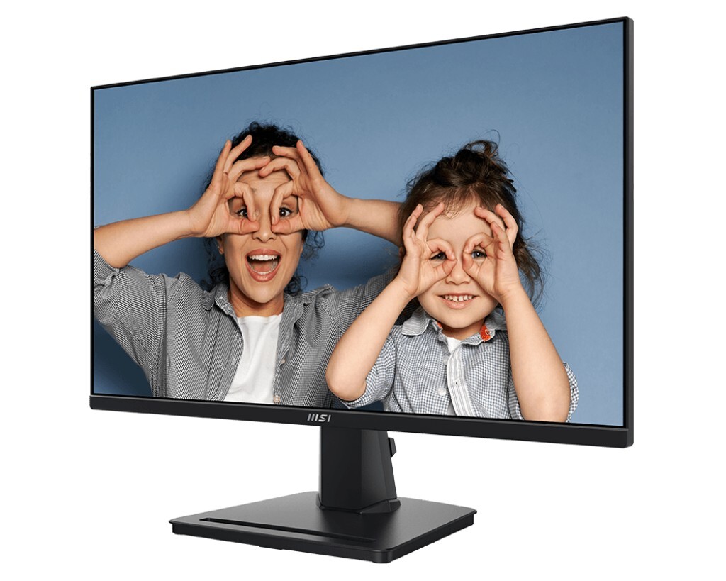 MSI PRO MP251 /24.5 IPS 100Hz