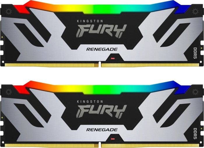 Kingston FURY Renegade KF584CU40RSAK2-48 Silver