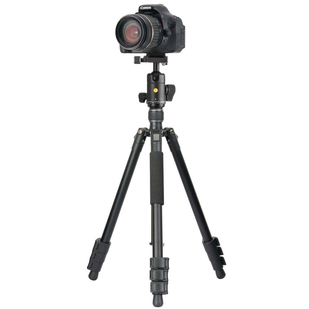 Vanguard VESTA GO 264AB
