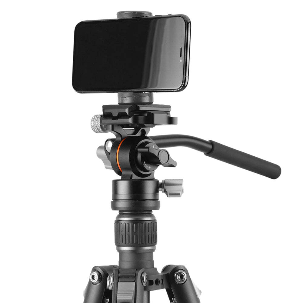 Vanguard VESTA GO 264AV12