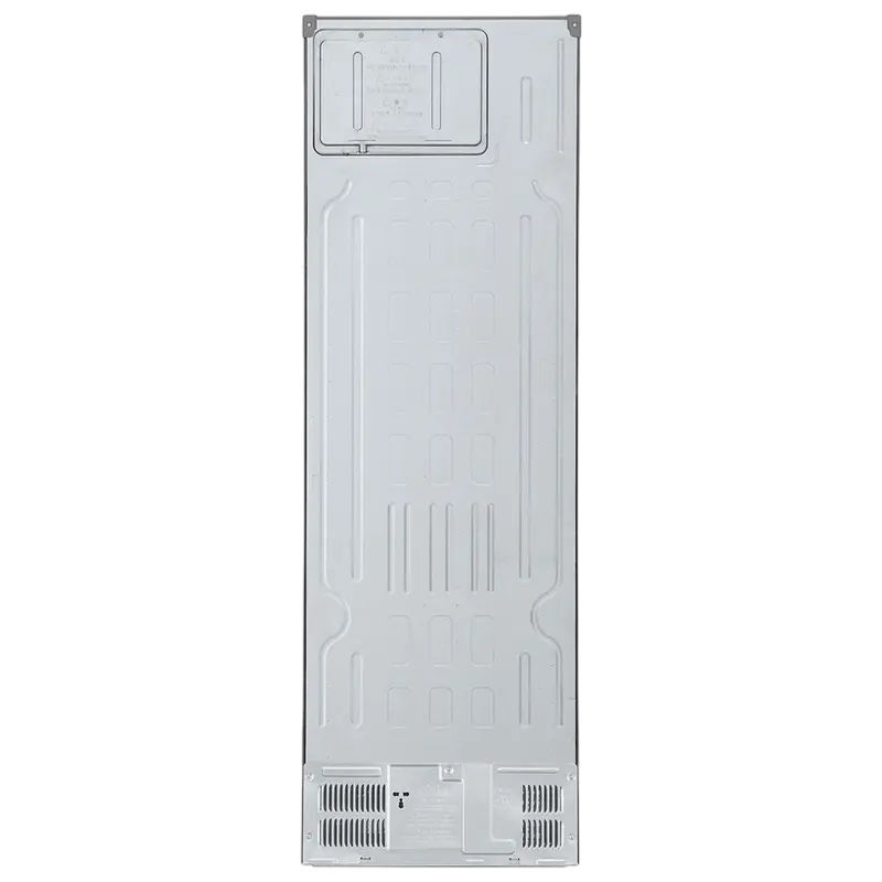 LG GBV3100EPY