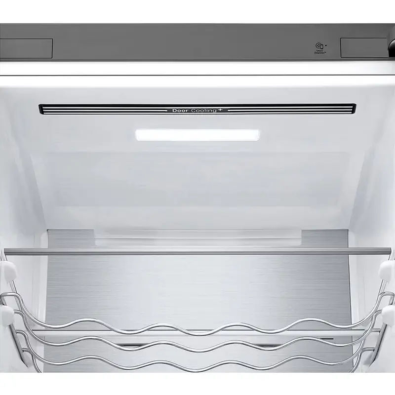 LG GBV5250EPY
