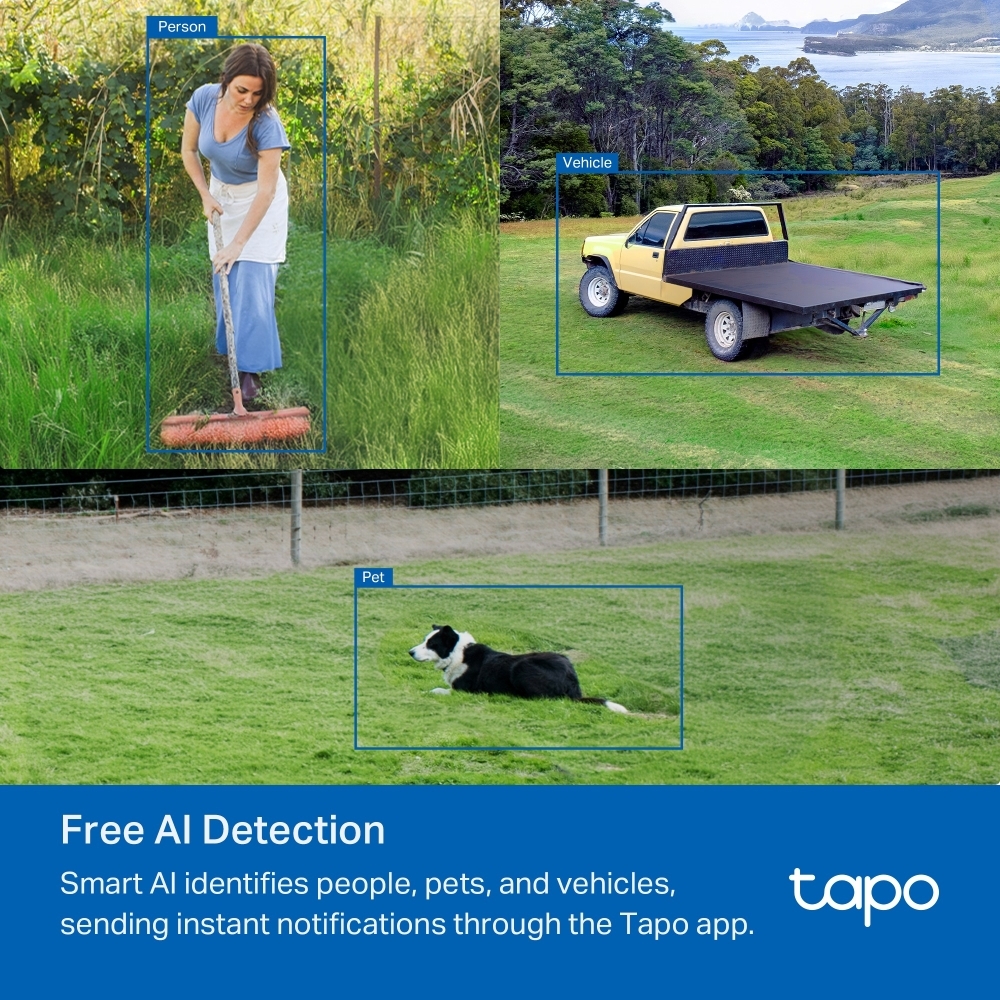 TP-LINK TAPO C501GW