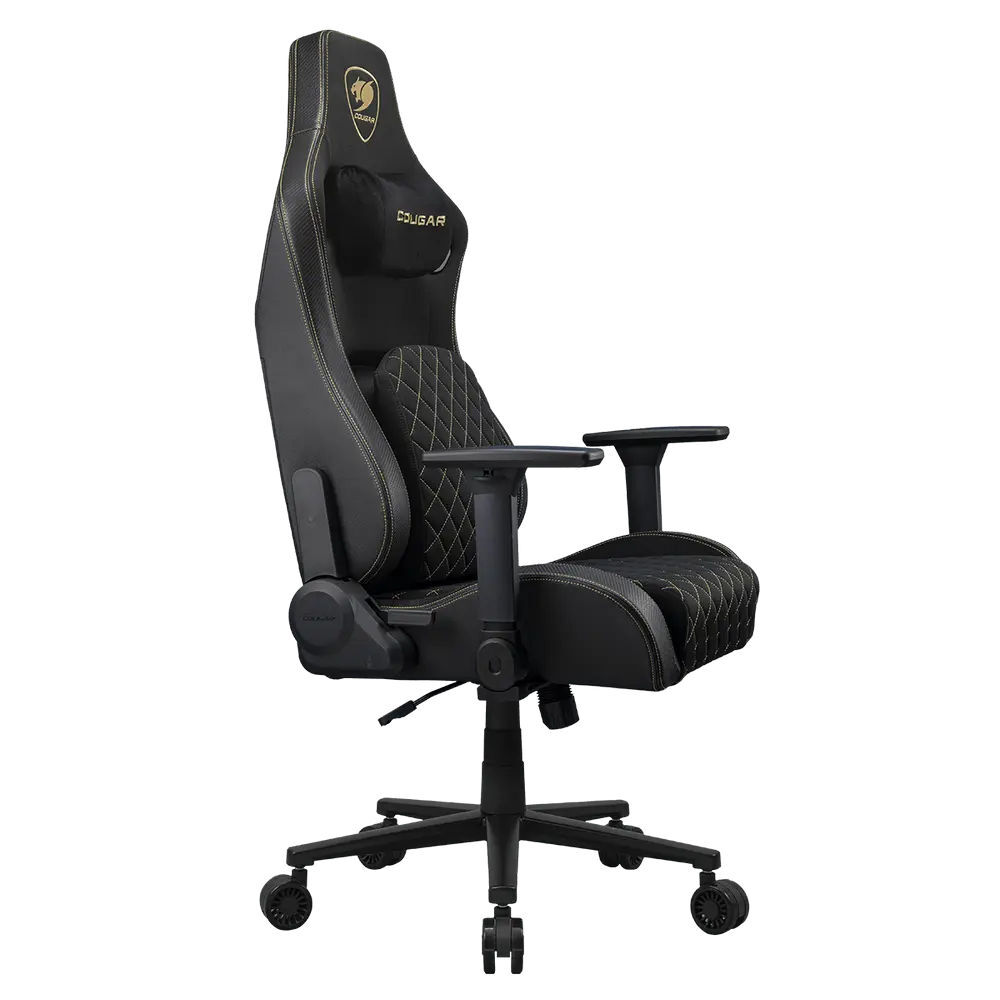 Cougar Defensor Black