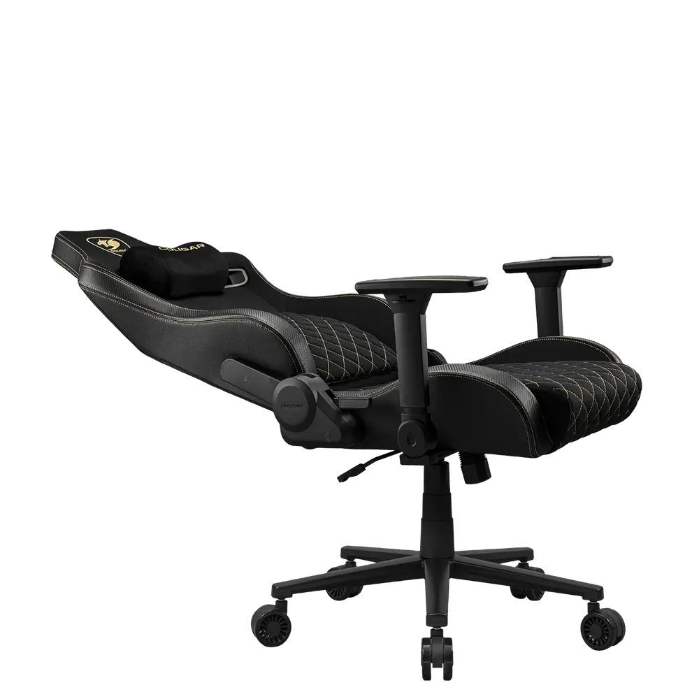 Cougar Defensor Black