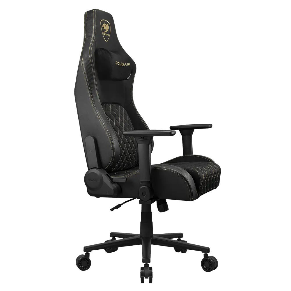 Cougar Defensor Black