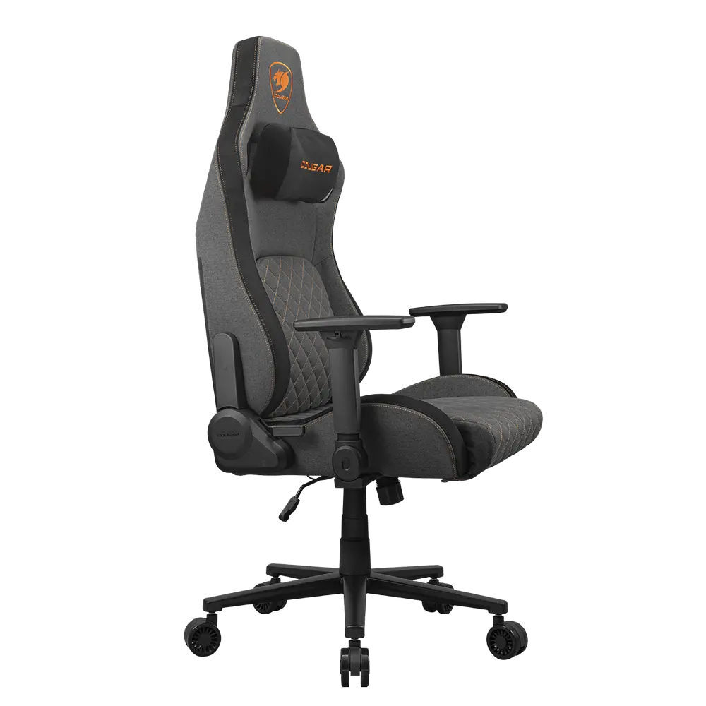 Cougar Defensor Graphite