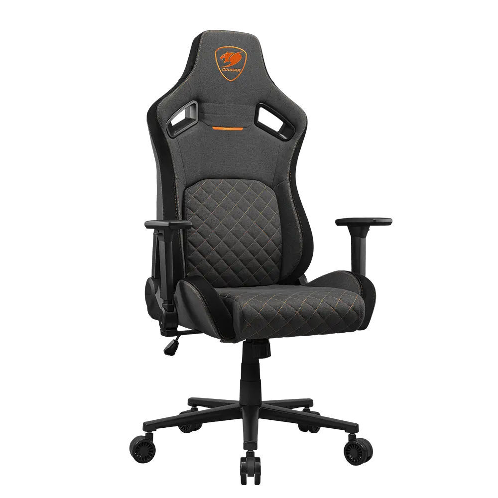 Cougar Defensor Graphite