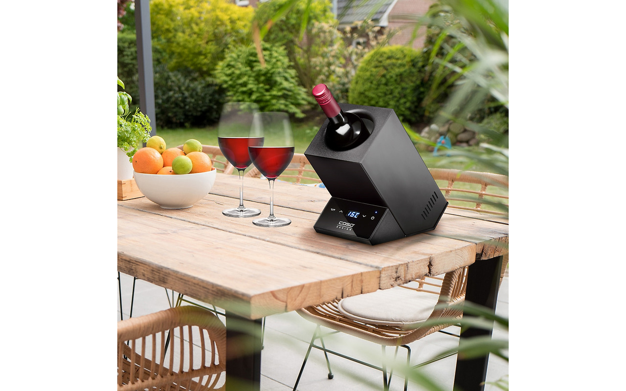 CASO WineCase One