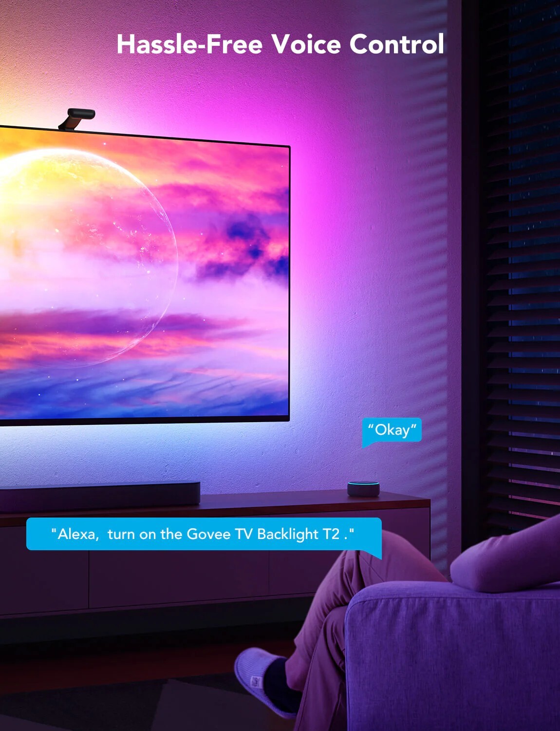GOVEE RGBIC Envisual TV Backlight T2 with Dual Cameras / H605C311