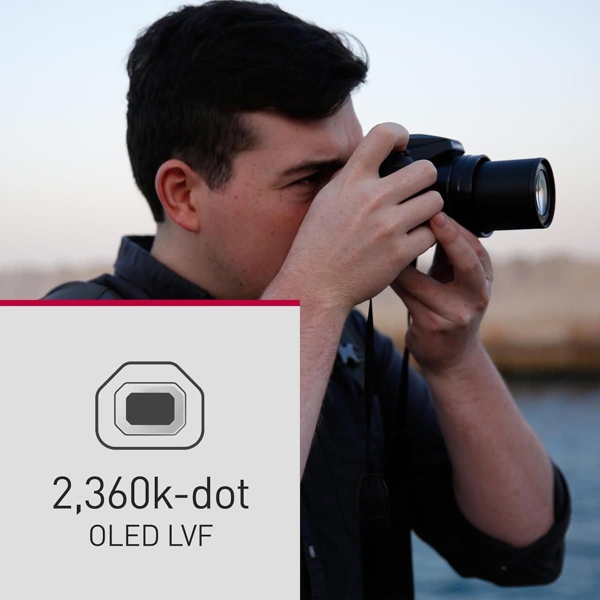 Panasonic DC-FZ82DE-K