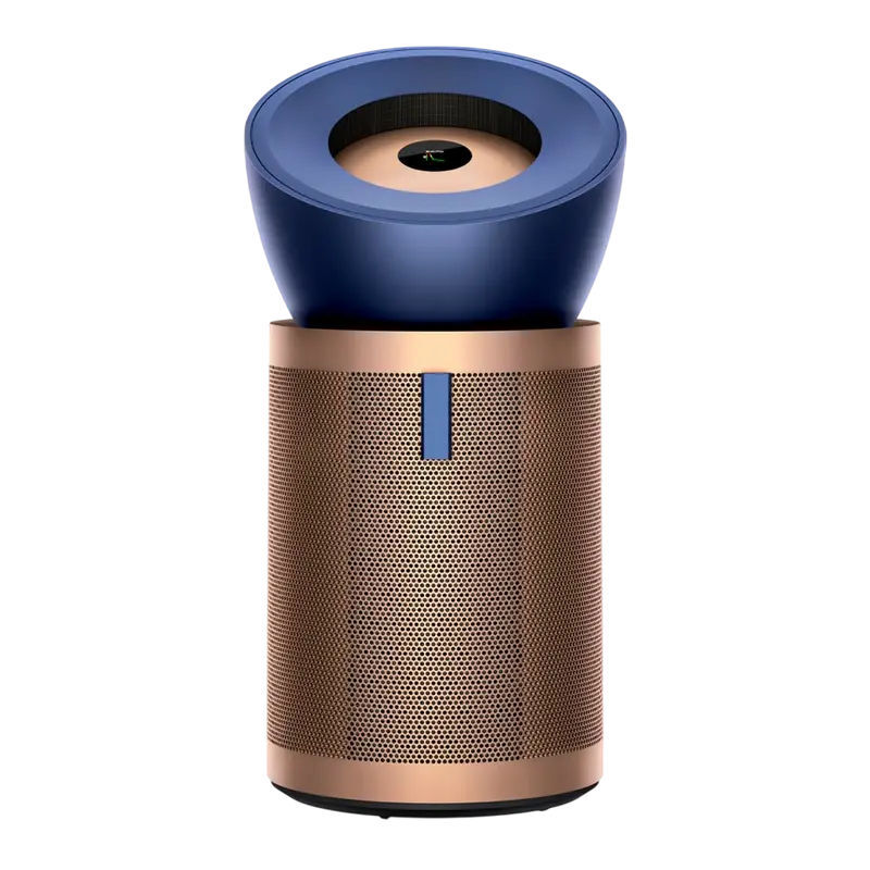 Dyson BP04