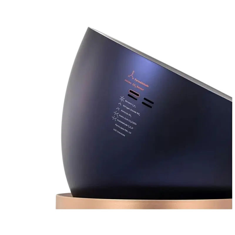 Dyson BP04