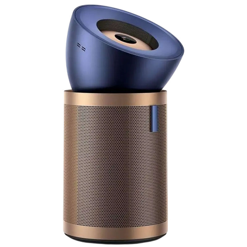 Dyson BP04