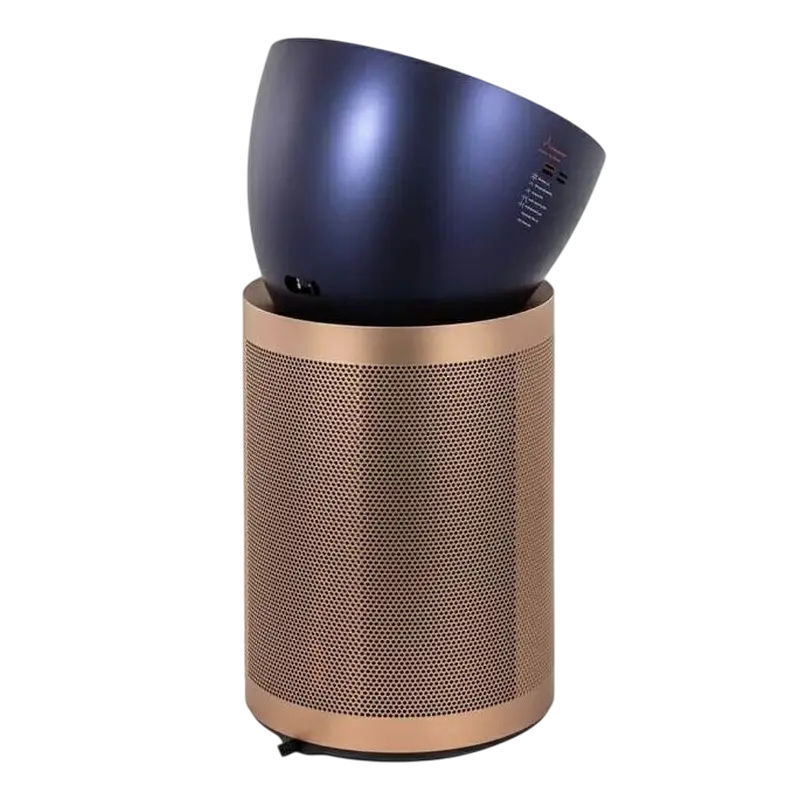 Dyson BP04